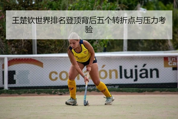 wang-chu-qin-shi-jie-pai-ming-deng-ding-bei-hou-wu-ge-zhuan-zhe-dian-yu-ya-li-kao-yan-2-437.jpg